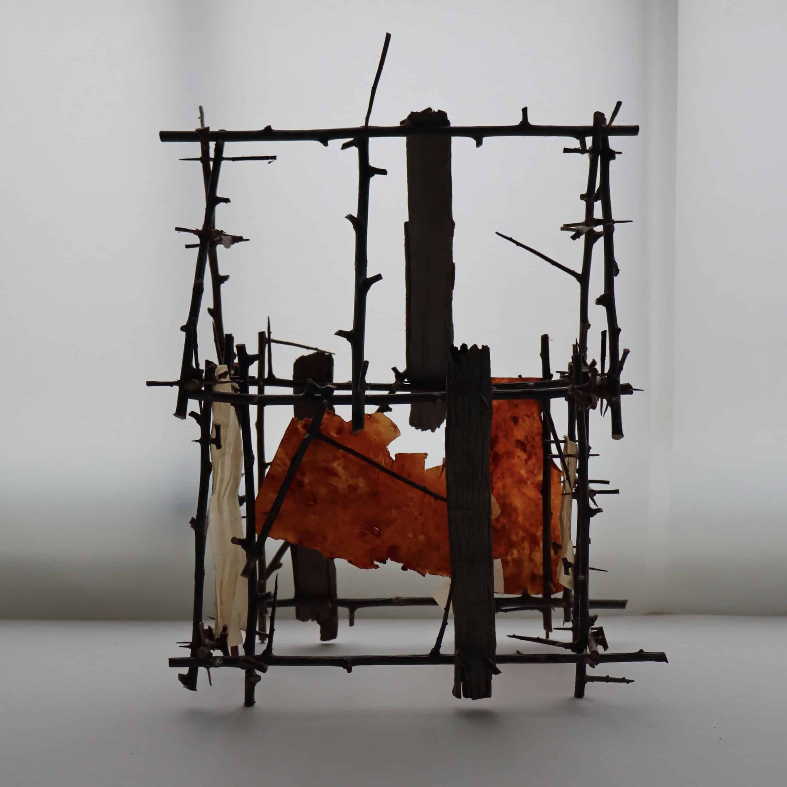 A sculpture by Frances Carlile, an outline of a house made with what appears to be sticks