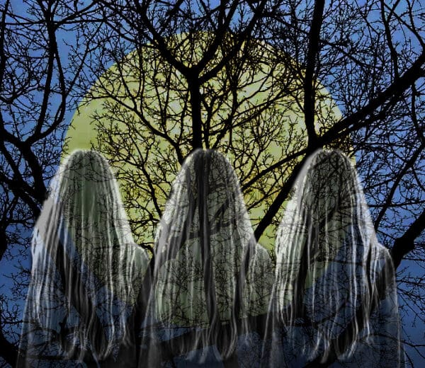 The back of three heads with long pale hair, they are looking at a tree wth no leaves with a large moon behind it