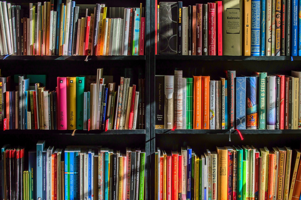 Photograph of bookshelves filled with multicoloured books